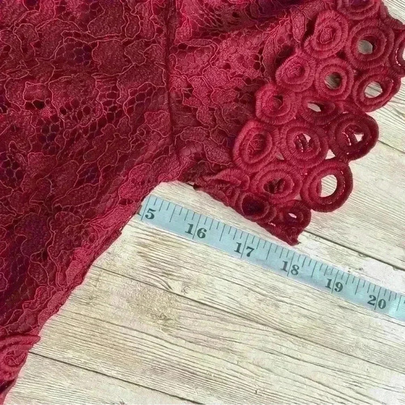 Francesca's Lace Fit & Flare Short Sleeve Back Zip Dress Cranberry/Pink Size XS - Picture 5 of 5